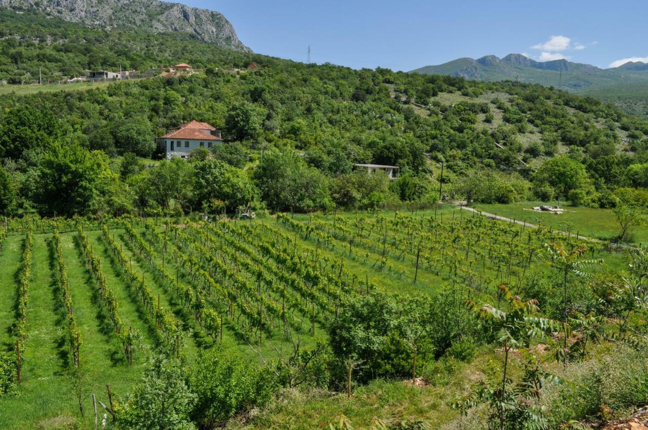 Djukic Winery Apartamento Podgorica Exterior foto